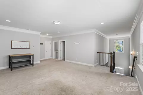Other - 15107 Rocky Bluff Loop, Davidson, NC 28036 photo 14 of 19
