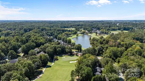 View/Area - 15107 Rocky Bluff Loop, Davidson, NC 28036 photo 2 of 2