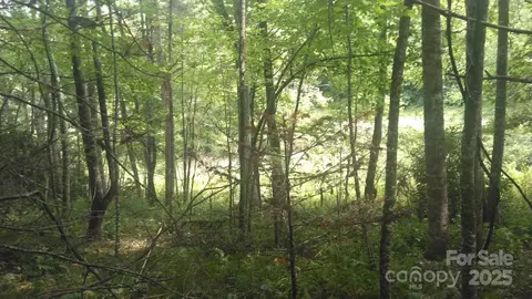 7360 Nc 183 Hwy, Newland, NC 28657