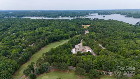 View/Area - 24014 Tidal Way, Tega Cay, SC 29708 photo 8 of 12