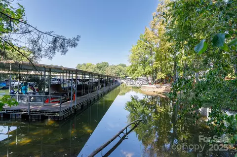 View/Area - 24014 Tidal Way, Tega Cay, SC 29708 photo 3 of 12