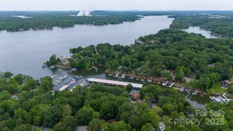 View/Area - 24014 Tidal Way, Tega Cay, SC 29708 photo 7 of 12
