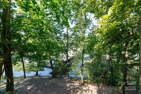 View/Area - 24014 Tidal Way, Tega Cay, SC 29708 photo 2 of 12