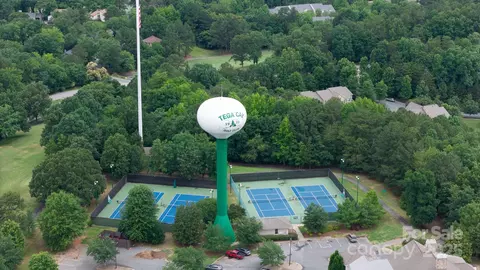 View/Area - 24014 Tidal Way, Tega Cay, SC 29708 photo 12 of 12
