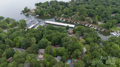 View/Area - 24014 Tidal Way, Tega Cay, SC 29708 photo 6 of 12