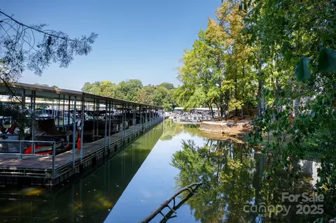 View/Area - 24014 Tidal Way, Tega Cay, SC 29708 photo 4 of 12