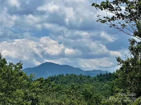 59 Musket 59 Rd #59, Almond, NC 28702