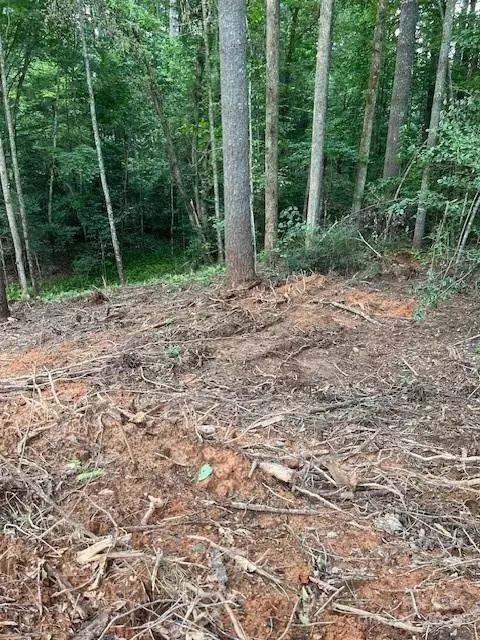 41 Mountain Brook Trl, Brevard, NC 28712 photo 11