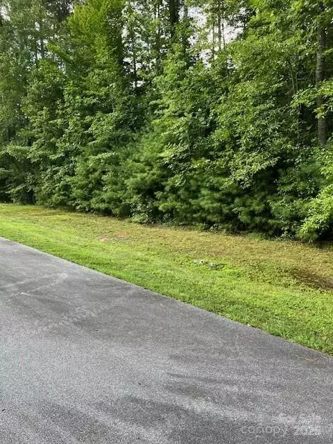 41 Mountain Brook Trl, Brevard, NC 28712 photo 9