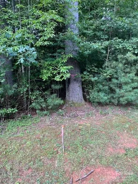 41 Mountain Brook Trl, Brevard, NC 28712 photo 17