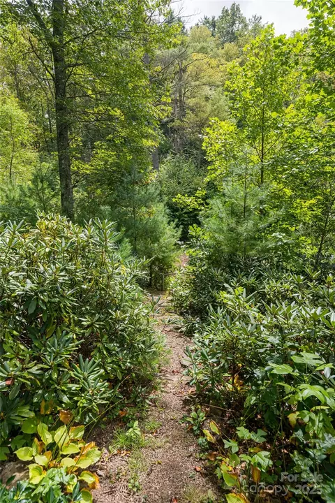 Other - 147 Dye Leaf Rd, Fairview, NC 28730 photo 6 of 20