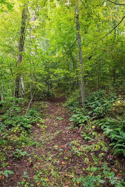 Other - 147 Dye Leaf Rd, Fairview, NC 28730 photo 13 of 20