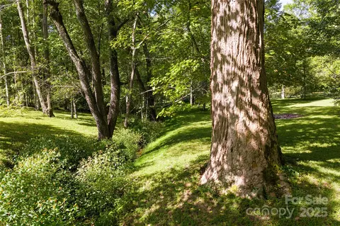 Other - 147 Dye Leaf Rd, Fairview, NC 28730 photo 14 of 20