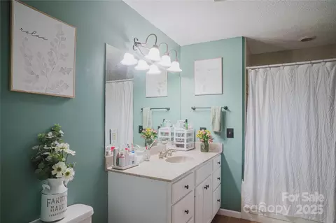 Bath - 20 Ridgeway Dr, Flat Rock, NC 28731 photo 2 of 3