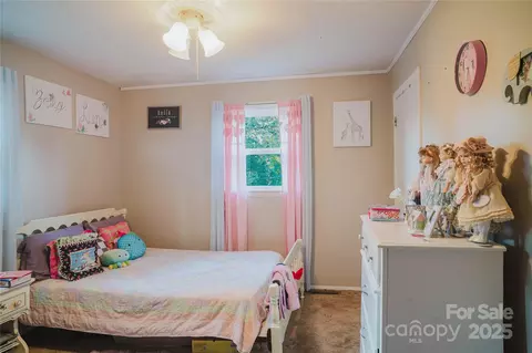 Other - 20 Ridgeway Dr, Flat Rock, NC 28731 photo 11 of 19