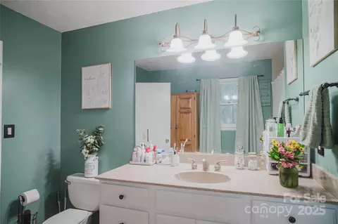 Bath - 20 Ridgeway Dr, Flat Rock, NC 28731 photo 3 of 3