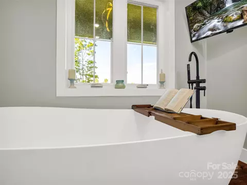 Bath - 110 Geebees Way, Mill Spring, NC 28756 photo 3 of 4