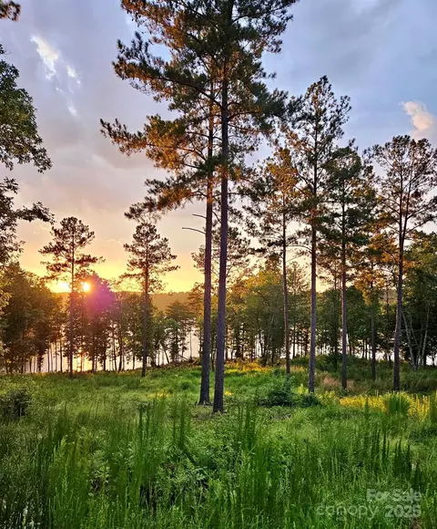 3067 Jumping 103 Run #103, Connelly Springs, NC 28612