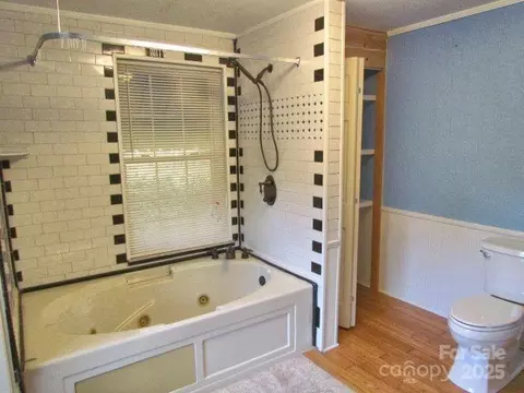 Bath - 3465 Lynn Rd, Tryon, NC 28782 photo 3 of 4