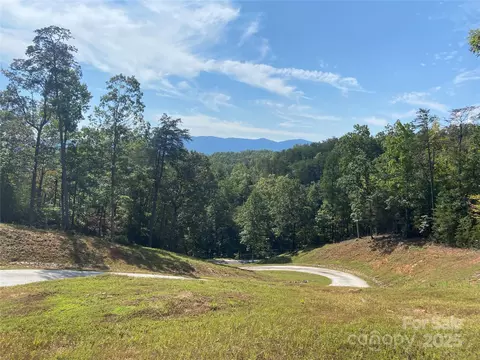 000 Ridgeland Way, Mill Spring, NC 28756