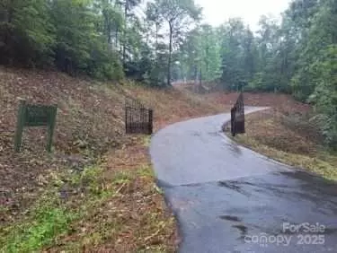 000 Ridgeland Way, Mill Spring, NC 28756 photo 10