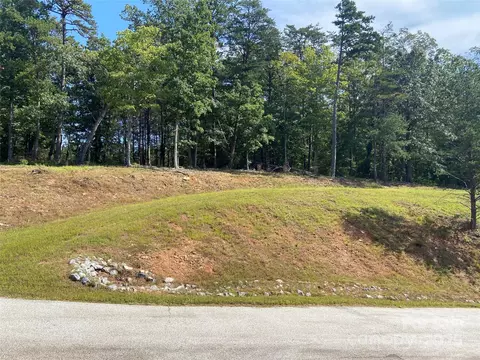 000 Ridgeland Way, Mill Spring, NC 28756 photo 5