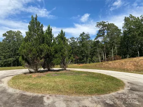000 Ridgeland Way, Mill Spring, NC 28756 photo 3