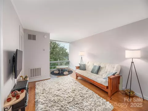 647 Town Mountain 501 Rd #501, Asheville, NC 28804