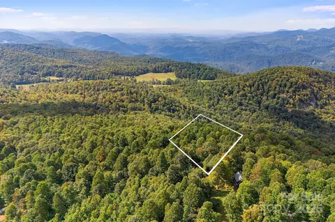 000 Fawns Rest St, Black Mountain, NC 28711