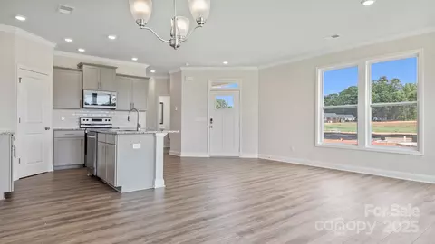 379 Lagoon Rd, Fletcher, NC 28732 photo 21