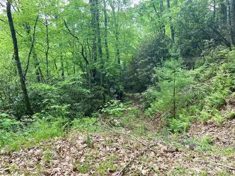 Mystic Forest 10 Way #10, Bryson City, NC 28713
