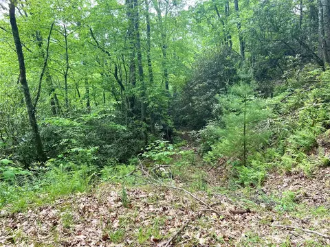 Mystic Forest Way, Bryson City, NC 28713
