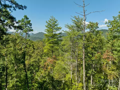 Anson G. Betts Road, Marshall, NC 28753