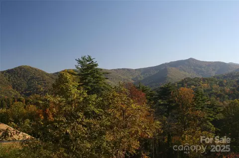 68 Wolfebridge 16 Ln #16, Asheville, NC 28804