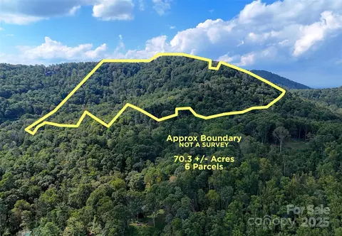 89 White Oak Gap Rd, Asheville, NC 28803