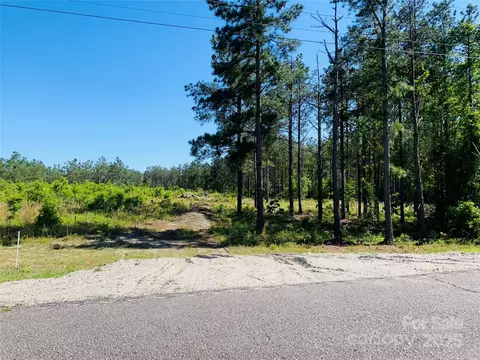 1561 Jones Rd, Kershaw, SC 29067