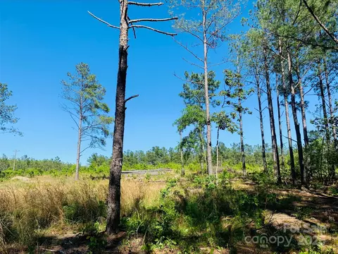 1561 Jones Rd, Kershaw, SC 29067