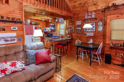 Other - 265 Hickory Nut Ln, Lake Lure, NC 28746 photo 5 of 7