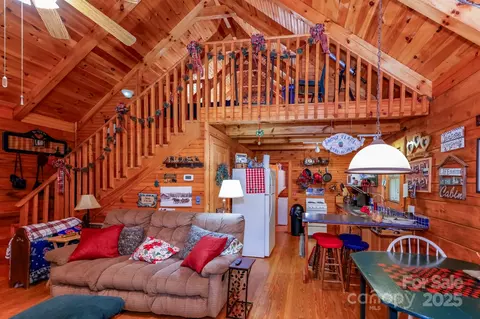 Other - 265 Hickory Nut Ln, Lake Lure, NC 28746 photo 4 of 7