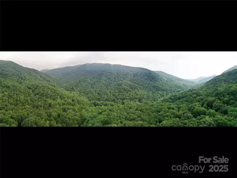 00 Riversound Ln, Saluda, NC 28773
