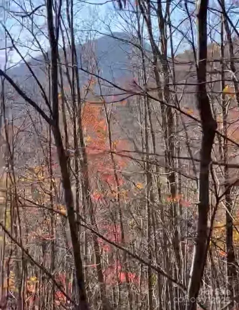 00 Camp Hill Rd, Mill Spring, NC 28756
