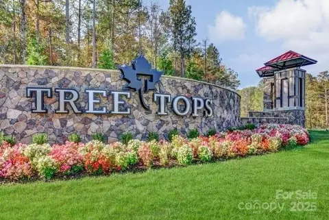 3125 Arches Bluff Cir, Lancaster, SC 29720 photo 48