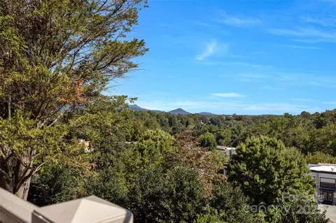 View/Area - 77 Chestnut 303 St #303, Tryon, NC 28782 photo 2 of 6