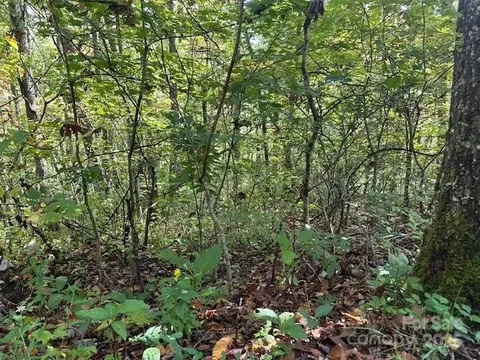 Shady Grove Road, Tuckasegee, NC 28783