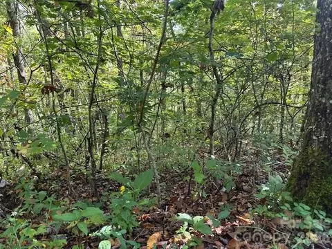 Shady Grove Road, Tuckasegee, NC 28783