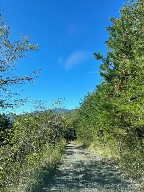 1305 Riddle Farm Rd, Marshall, NC 28753