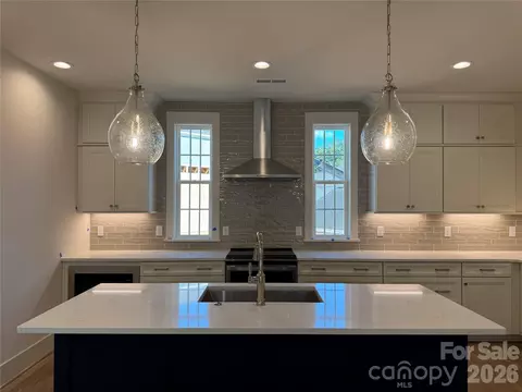 241 Davidson Gateway Dr, Davidson, NC 28036 photo 2
