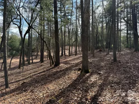0 Cedar Hill 24 Dr #24, Asheville, NC 28803
