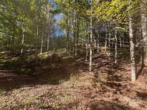9 Susanna Cv, Mars Hill, NC 28754
