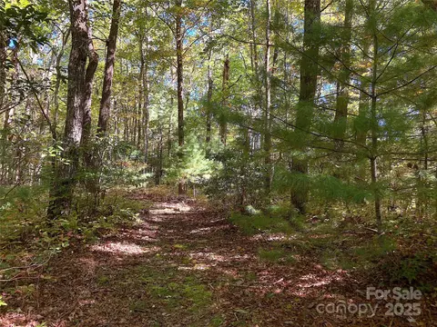 000 Middleton Ct, Brevard, NC 28712